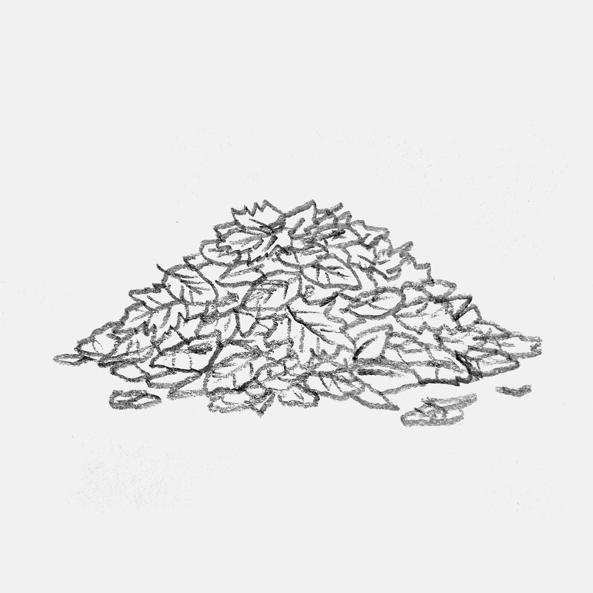 simple pencil drawing of a pile of leaves