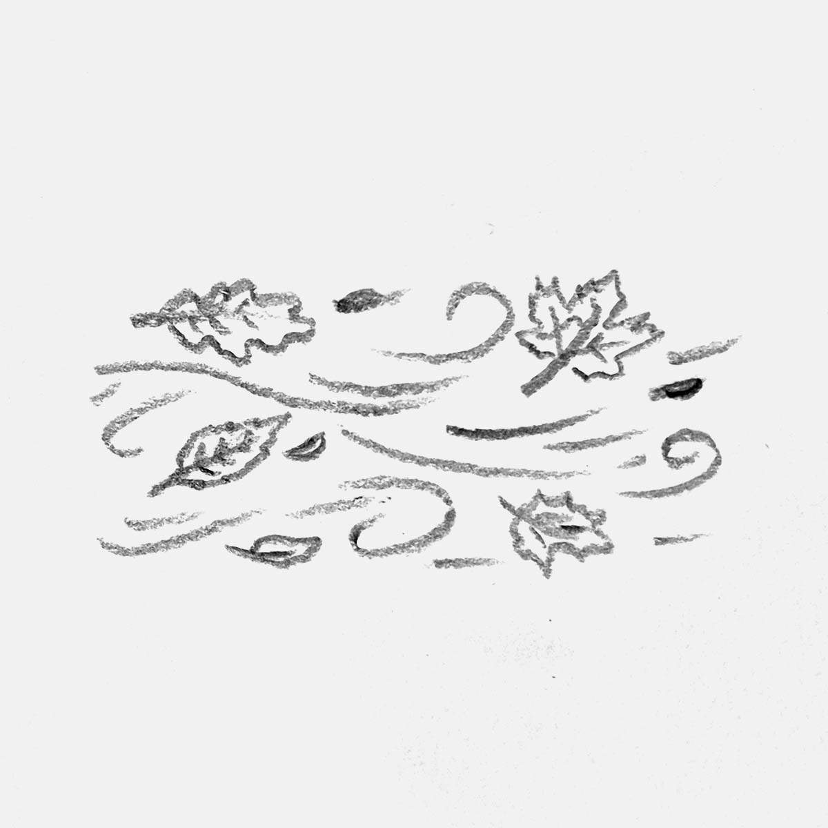 simple pencil doodle of some leaves blowing in the wind