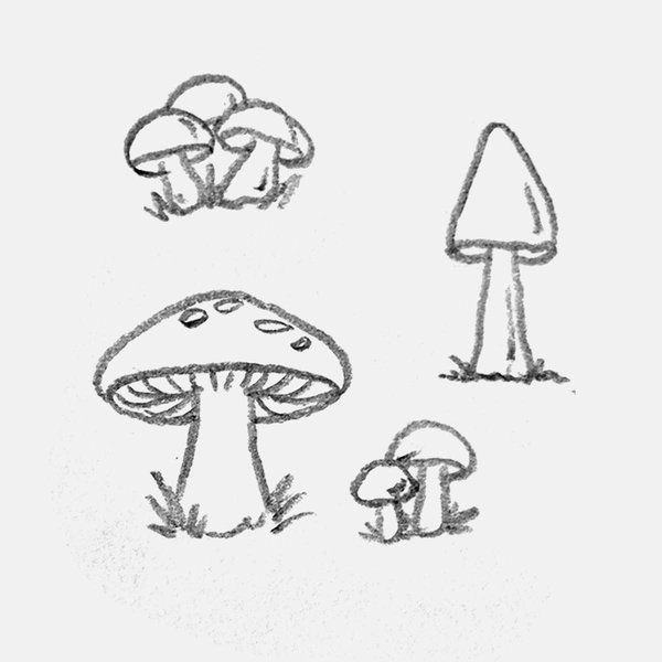 wimple drawing of multiple types of mushrooms