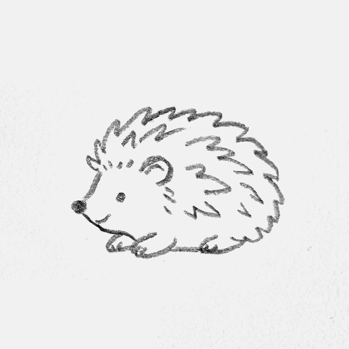 simple pencil drawing of a super cute hedgehog