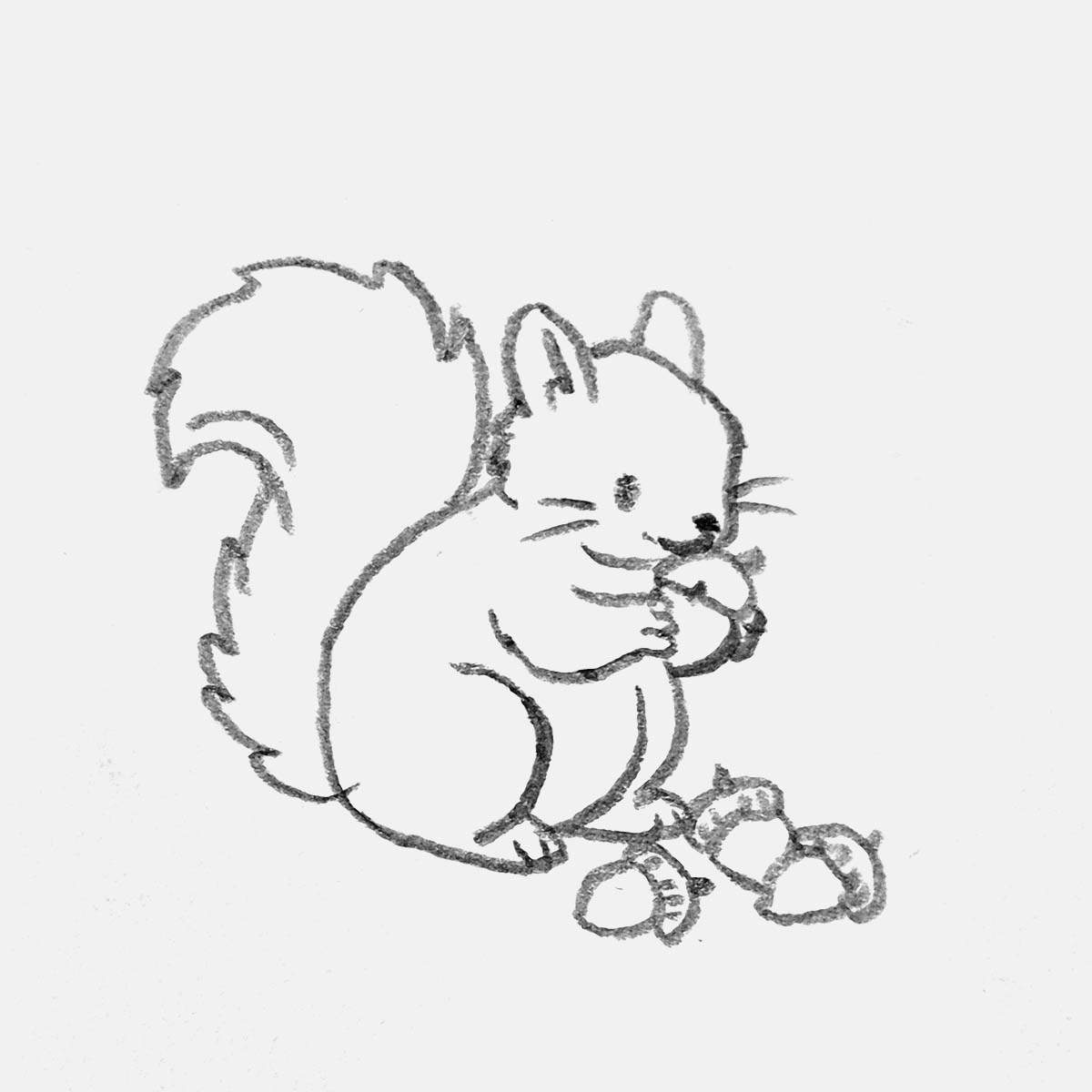 simple pencil drawing of a cute squirrel gathering some acorns