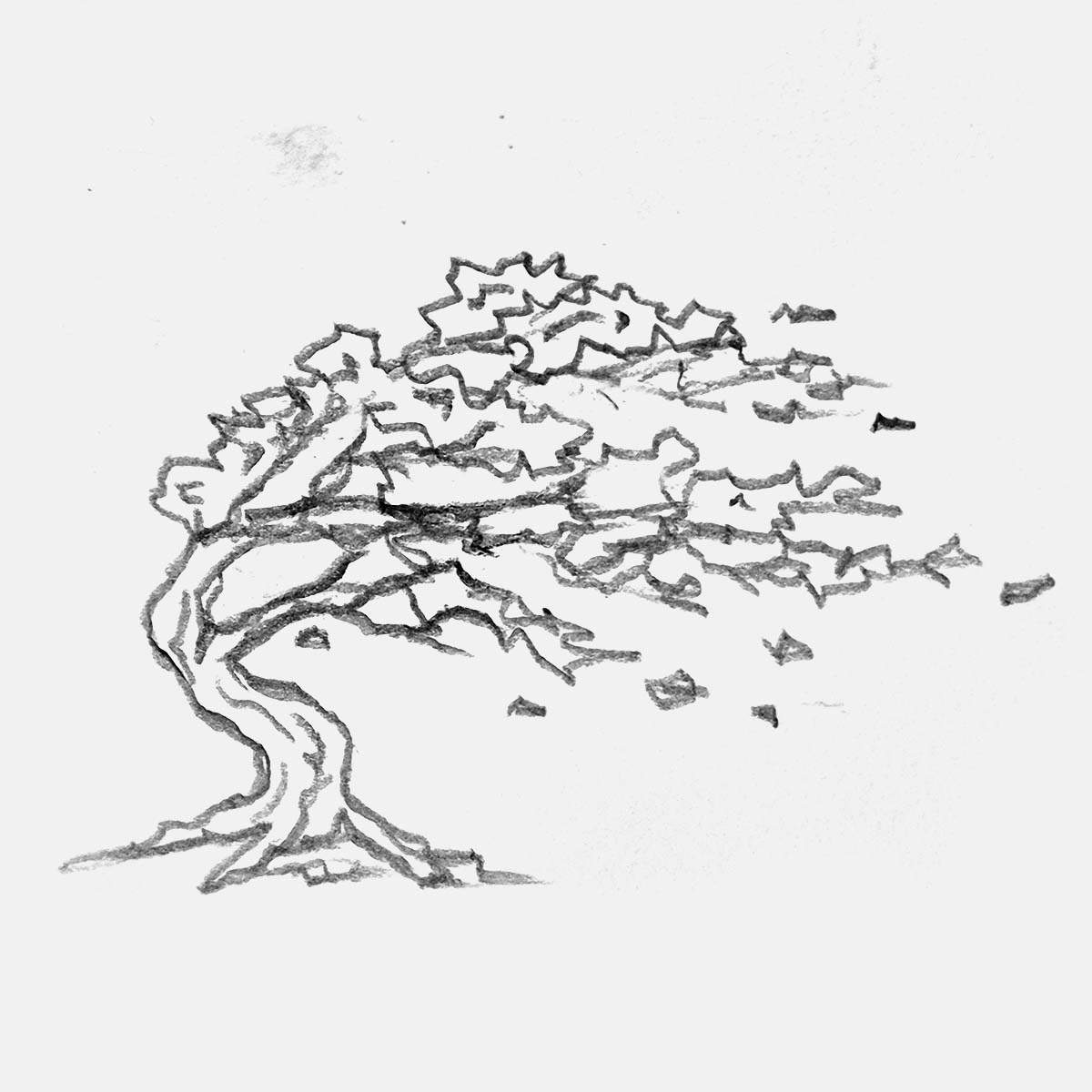 simple pencil drawing of a tree bending from the wind