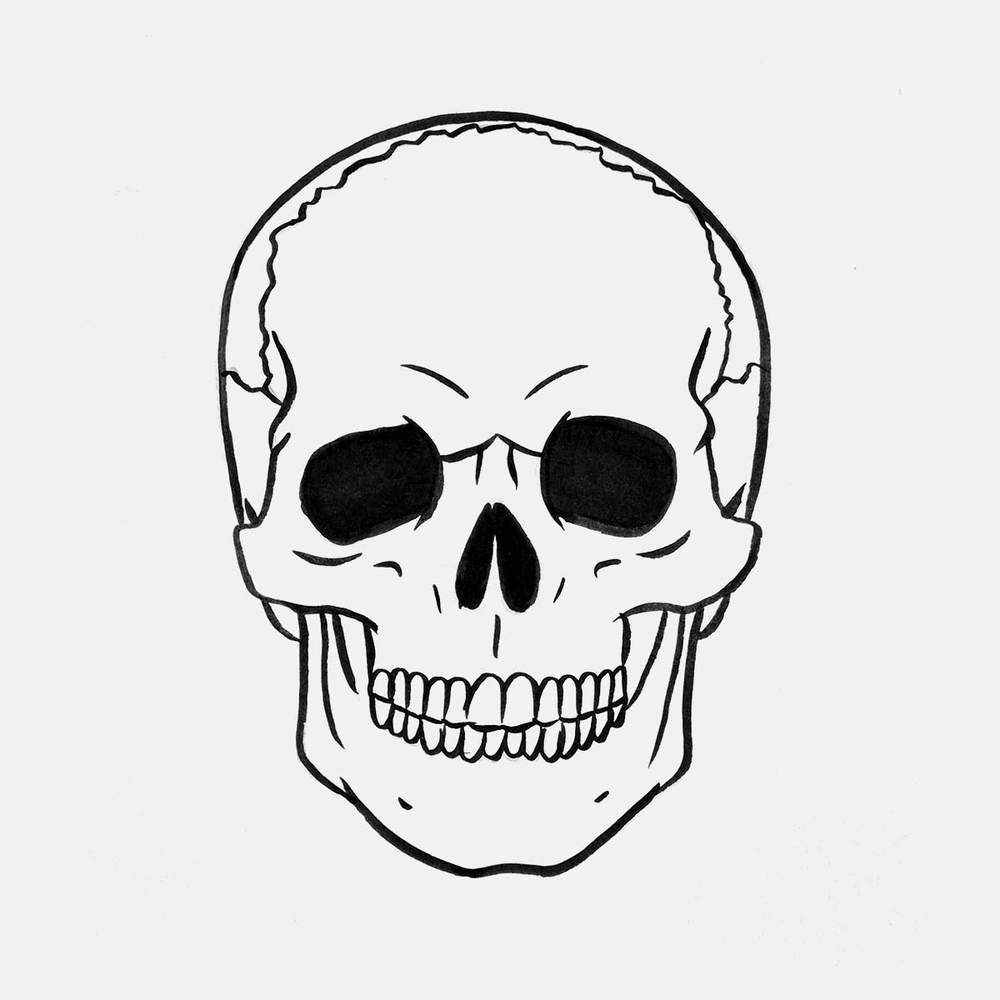 Skull outline drawing: use a black brush pen and outline the whole sketch and color in the eye sockets, the nasal opening, and the space in between the lower and upper jaws.
