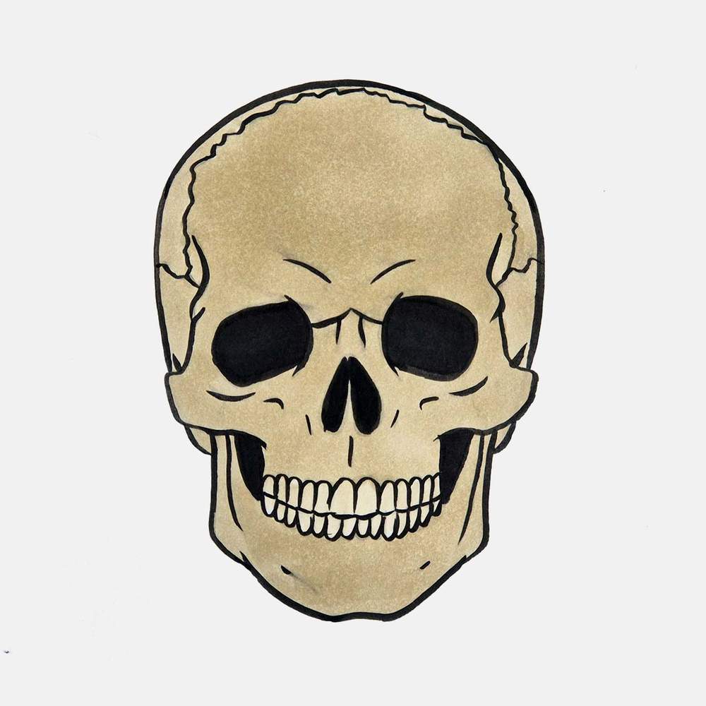 Use a light yellow grey marker and color the full skull.