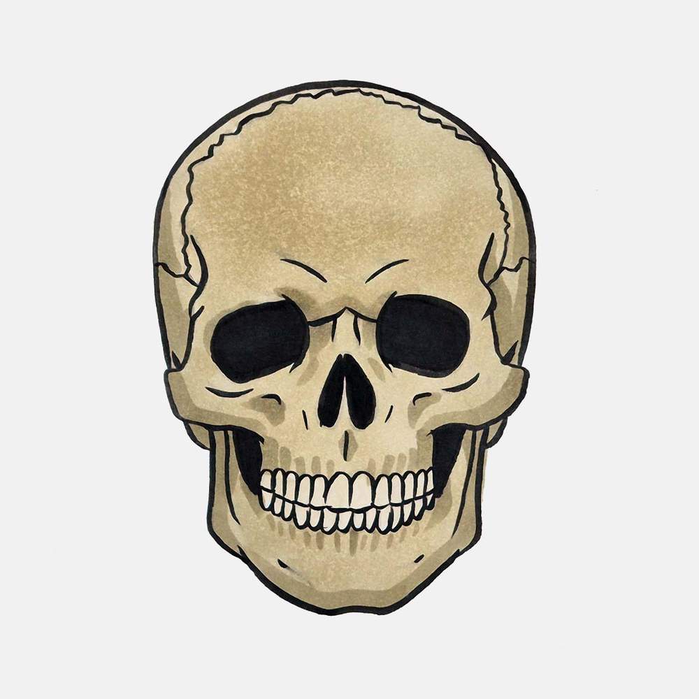 Marker drawing of a skull: use a darker yellow grey marker and add shading all along the downward-facing edges and ridges.