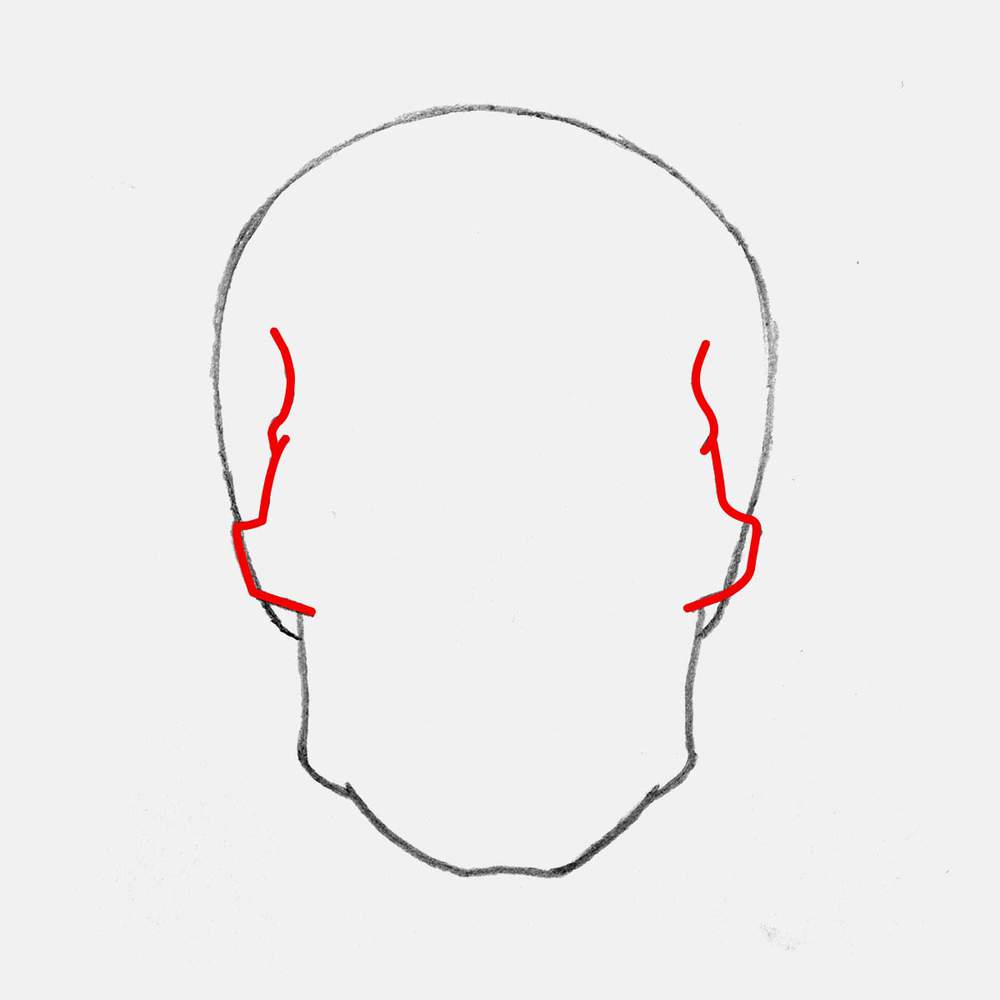 Sketch the cheekbones above the sides of the jaw and overlapping the sides of the cranium.