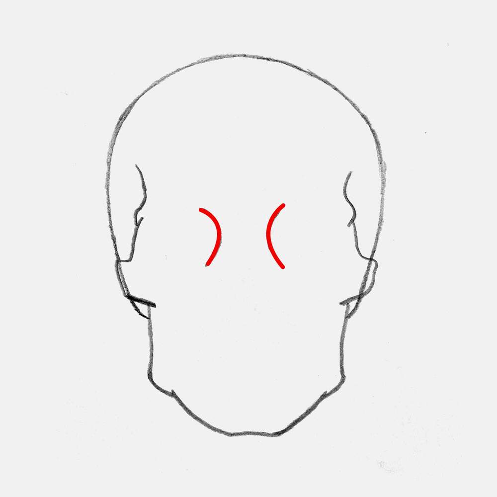 Draw a curved line on the inner edge of both eye sockets.