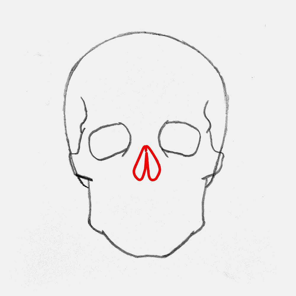Add an elongated and upside down heart shape for the nasal opening just below the two eye sockets.