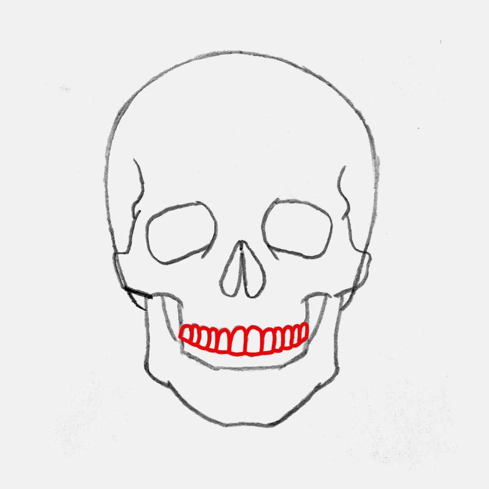 Lighten the top edge of the box shape and use it as a guide to add the arches for all the teeth.