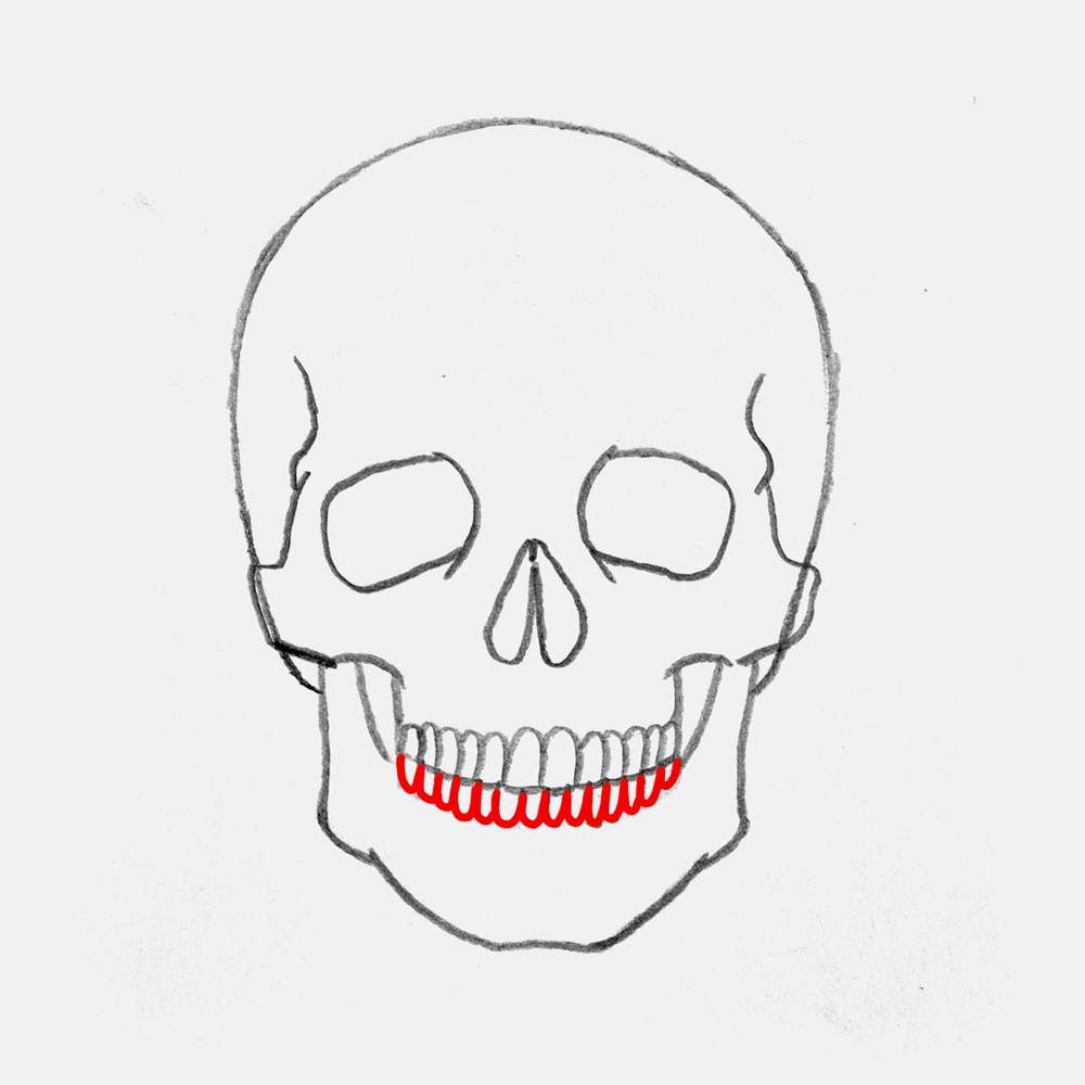 Lighten the bottom of the box shape and use it as a guide to sketch the arches of the bottom teeth.