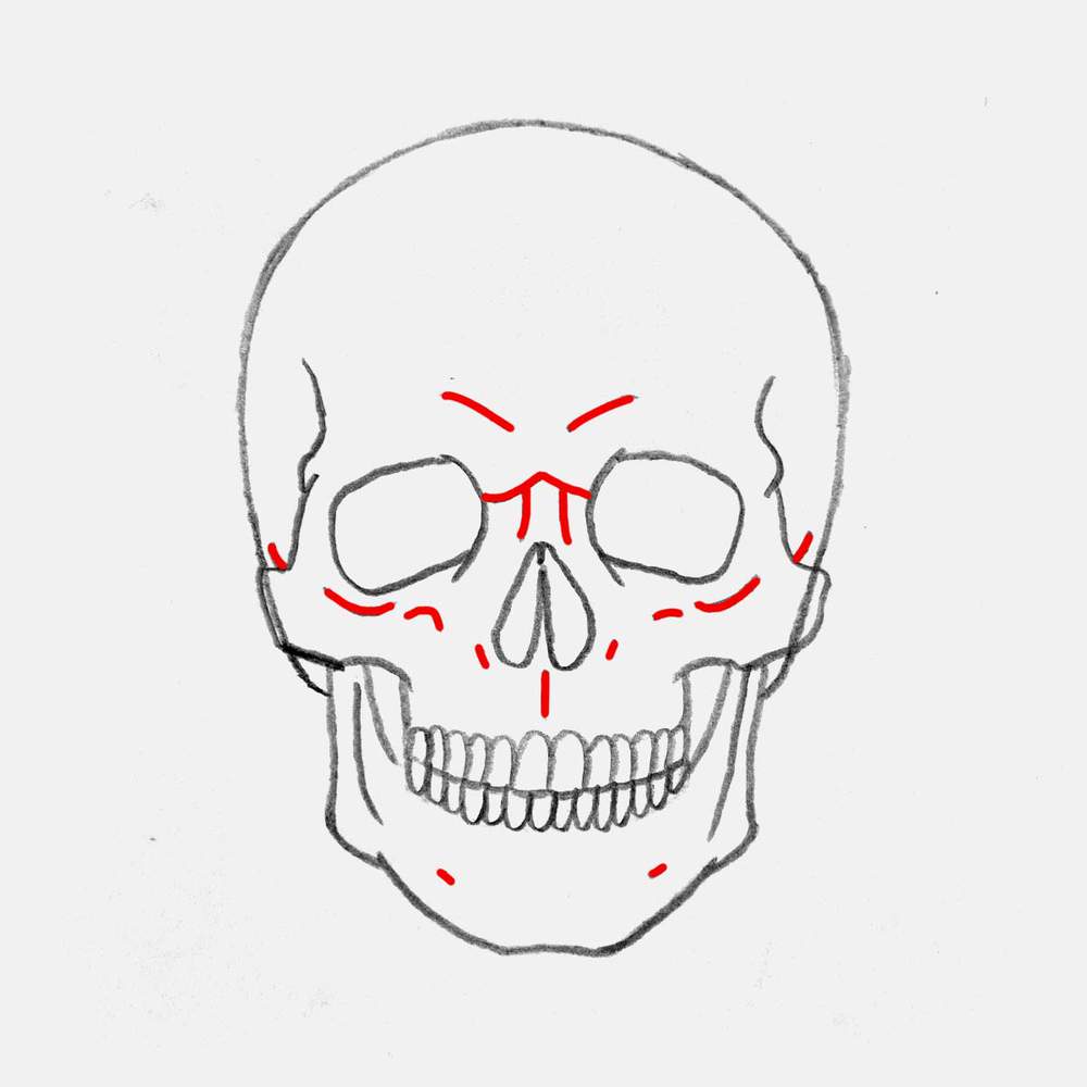 Add ridges and details all over the skull where there are edges and ridges, like on the cheekbones and the brows.