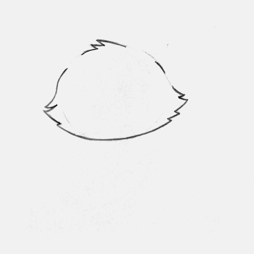 Erase the guide lines of the head as we no longer need them