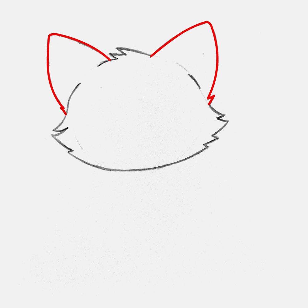 Add two big pointy ears on top of the cat's head. Make them curve a bit outwards and round the tip slightly.