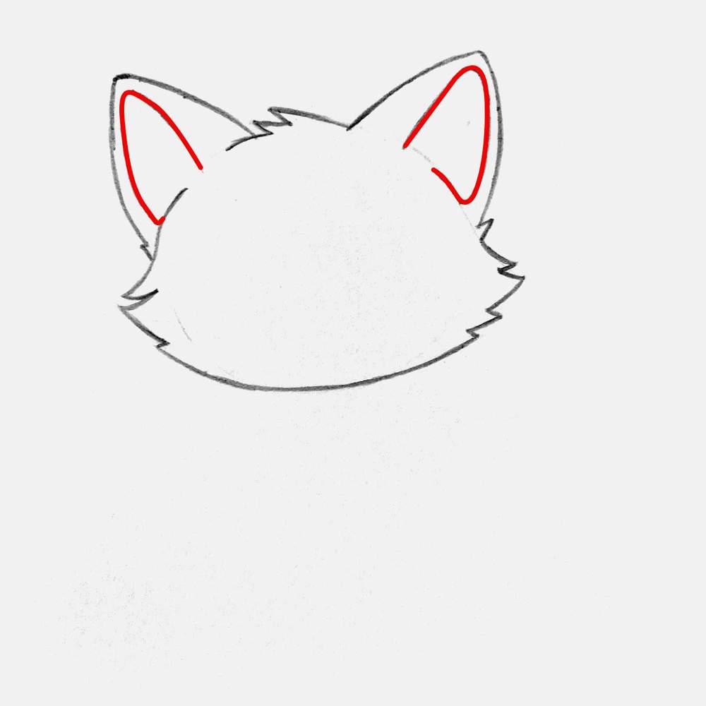 add the inner edge of the ears. This is the part we will color pink later on.