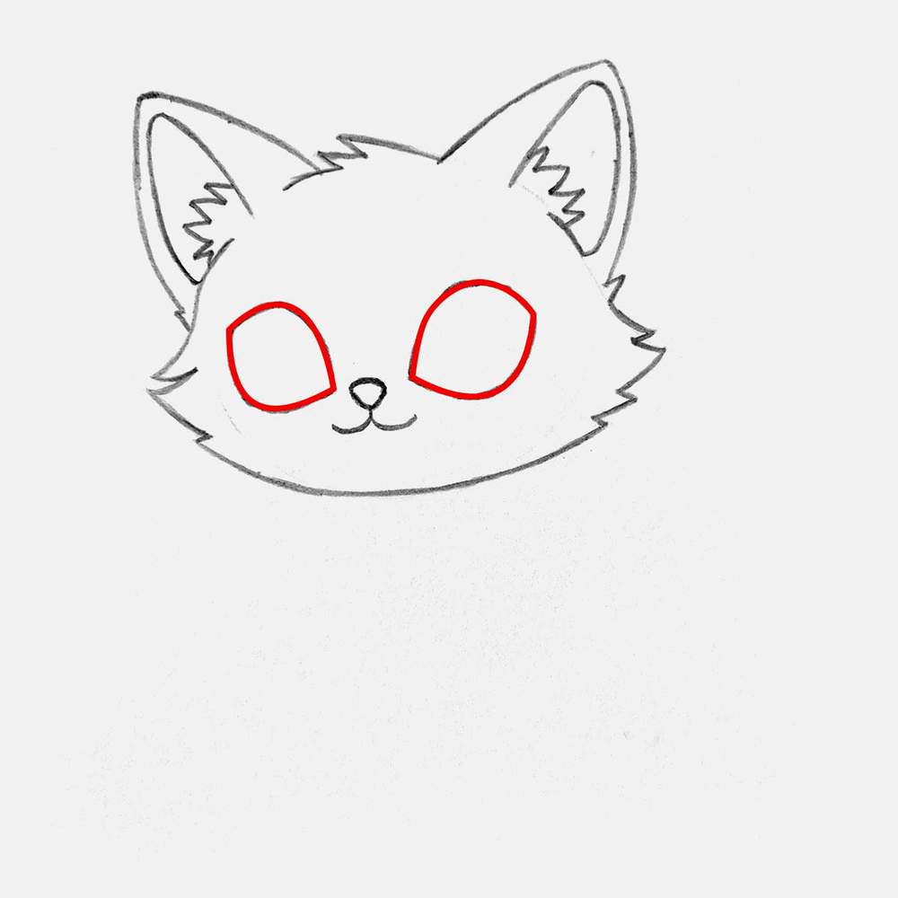 Add 2 big cat eyes to either side of the nose.