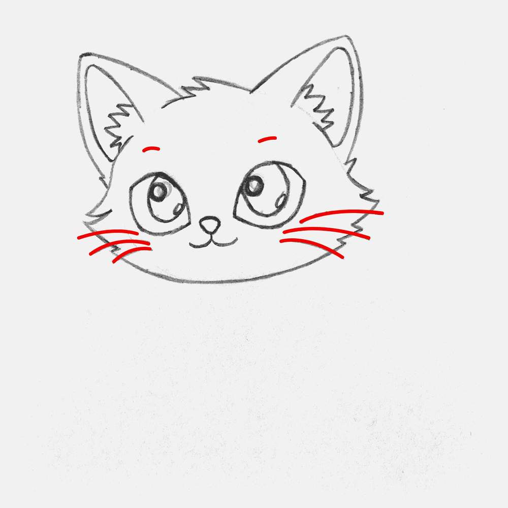 Add 3 whiskers on each cheek and two small eyebrows.
