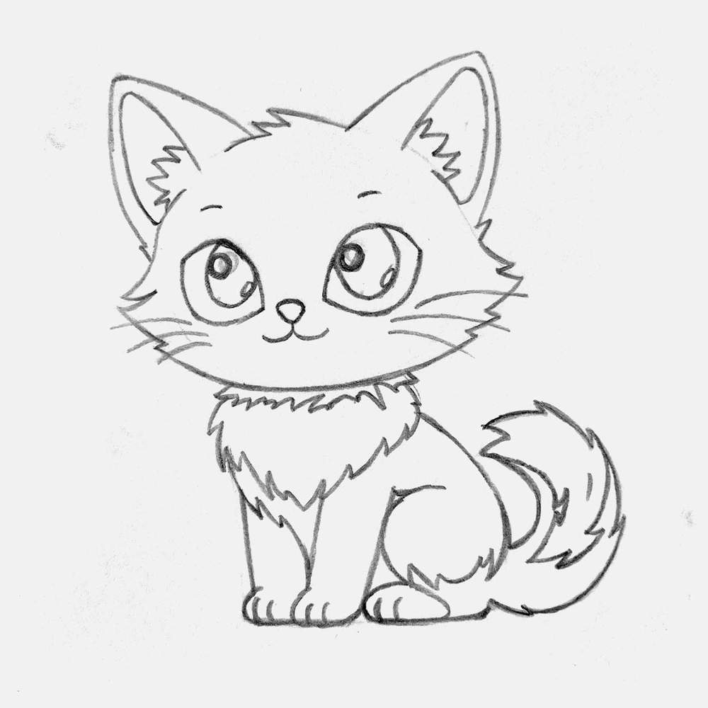 Finished sketch of the cute cat