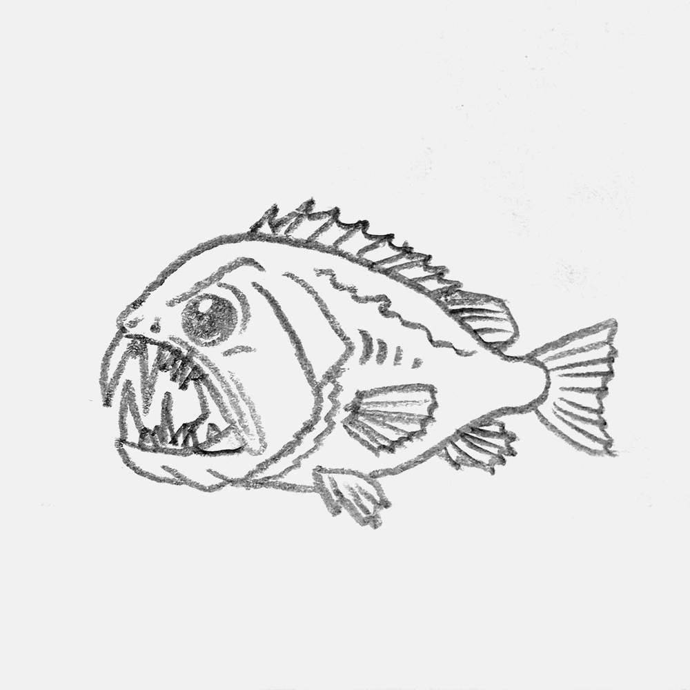 simple fangtooth fish pencil drawing