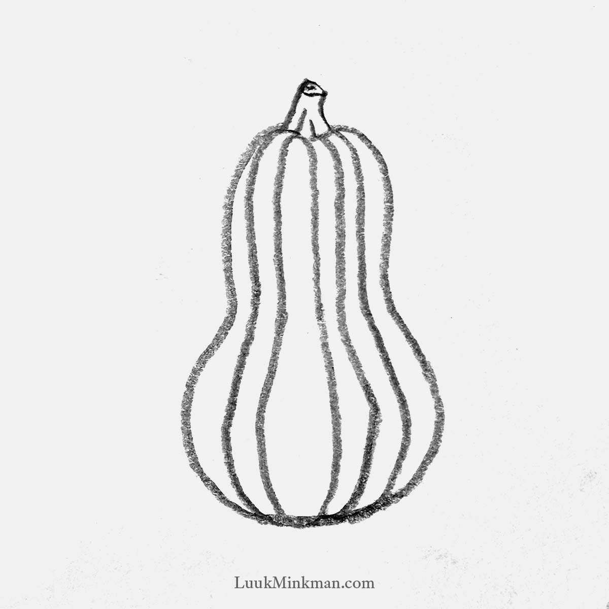simple pencil drawing of a butternut squash pumpkin