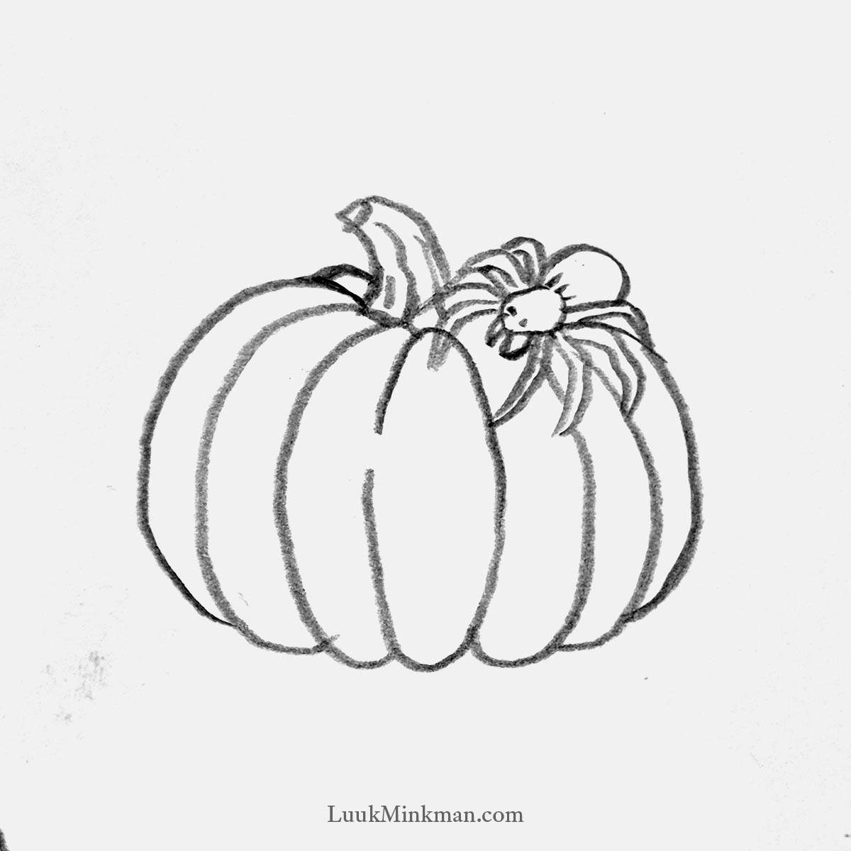 simple pencil drawing of a pumpkin with a big spider crawling on it