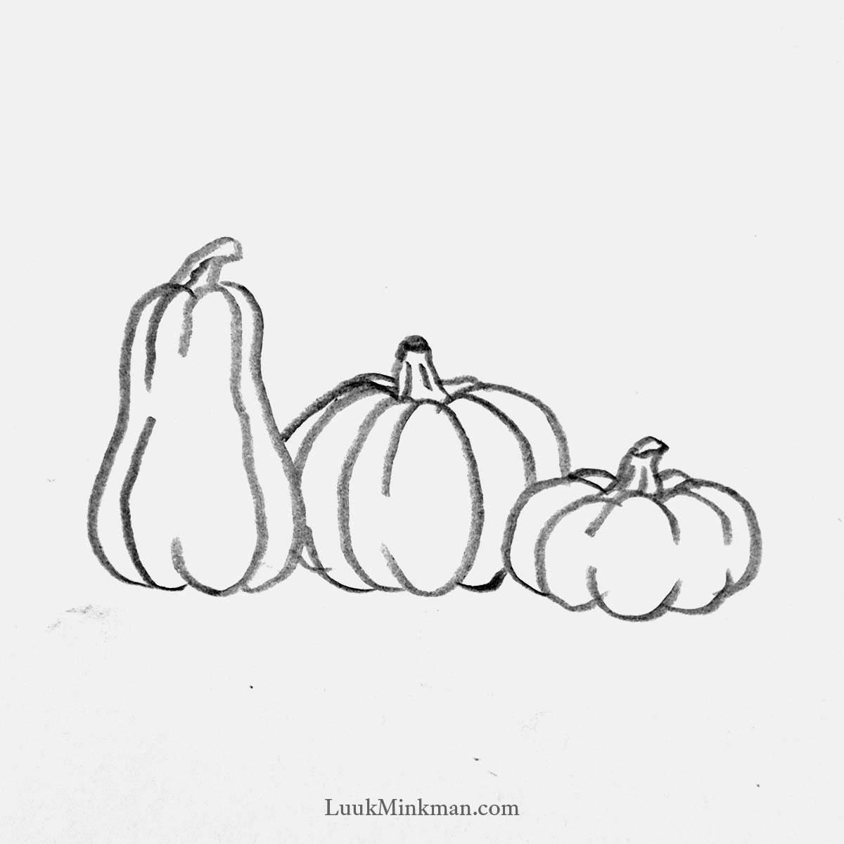 simple pencil drawing of three different kinds of pumpkins