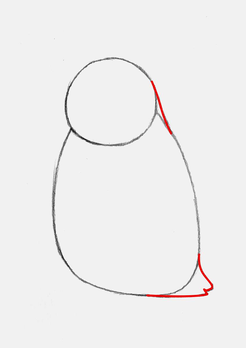 Step 3 of creating a penguin drawing step by step: add a little tail and smoothen the neck