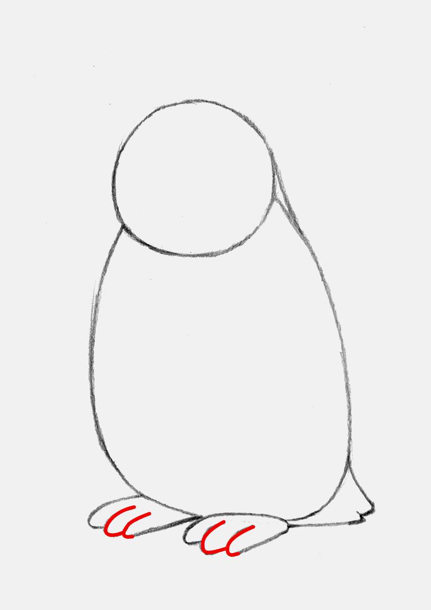 Step 5 of creating a penguin drawing step by step: add the penguin's feet