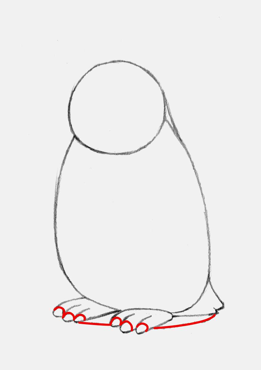 Step 6 of creating a penguin drawing step by step: add the toe nails and the shadow outline