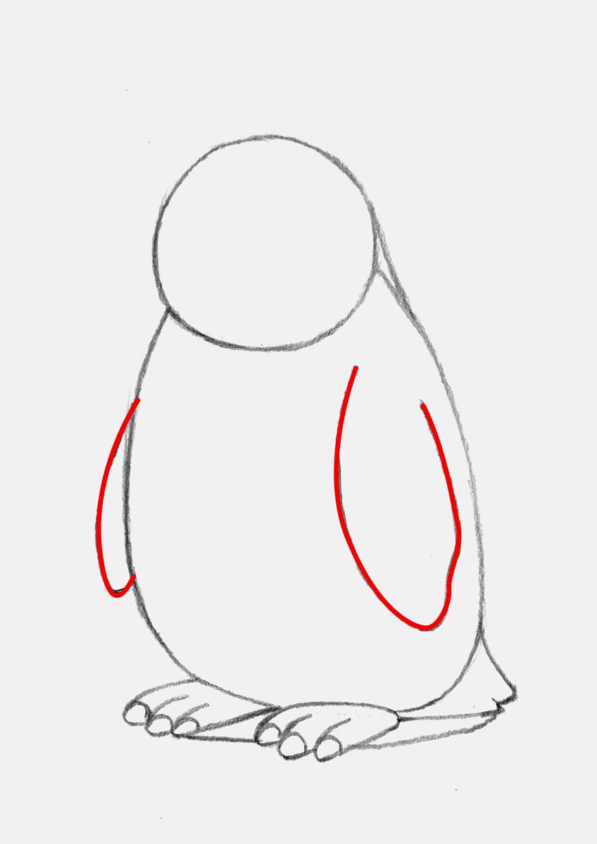 Step 7 of creating a penguin drawing step by step: add the penguin's flippers
