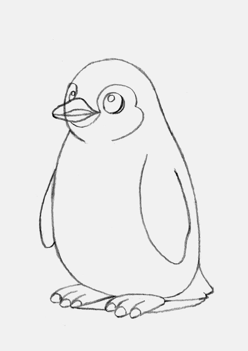 Step 14 of creating a penguin drawing step by step: erase the construction lines we no longer need