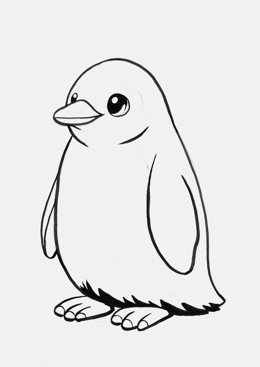 Step 17 of creating a penguin drawing step by step: lighten your penguin sketch and then outline it with a brush pen