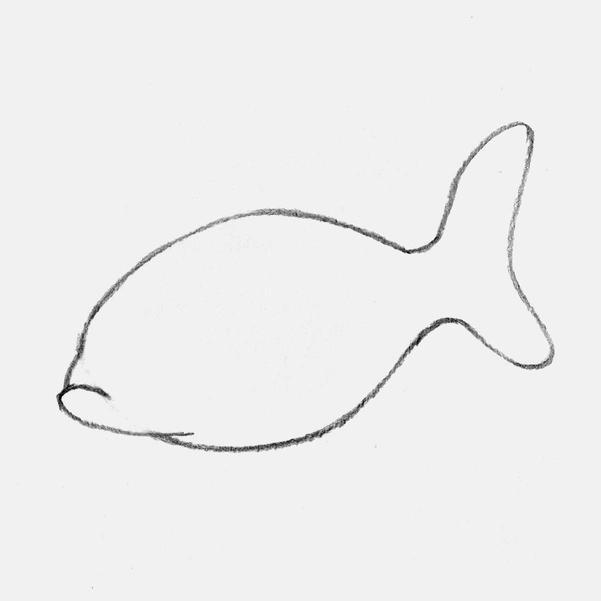 easy koi fish drawing tutorial step 4: erase the part where the oval overlaps the mouth