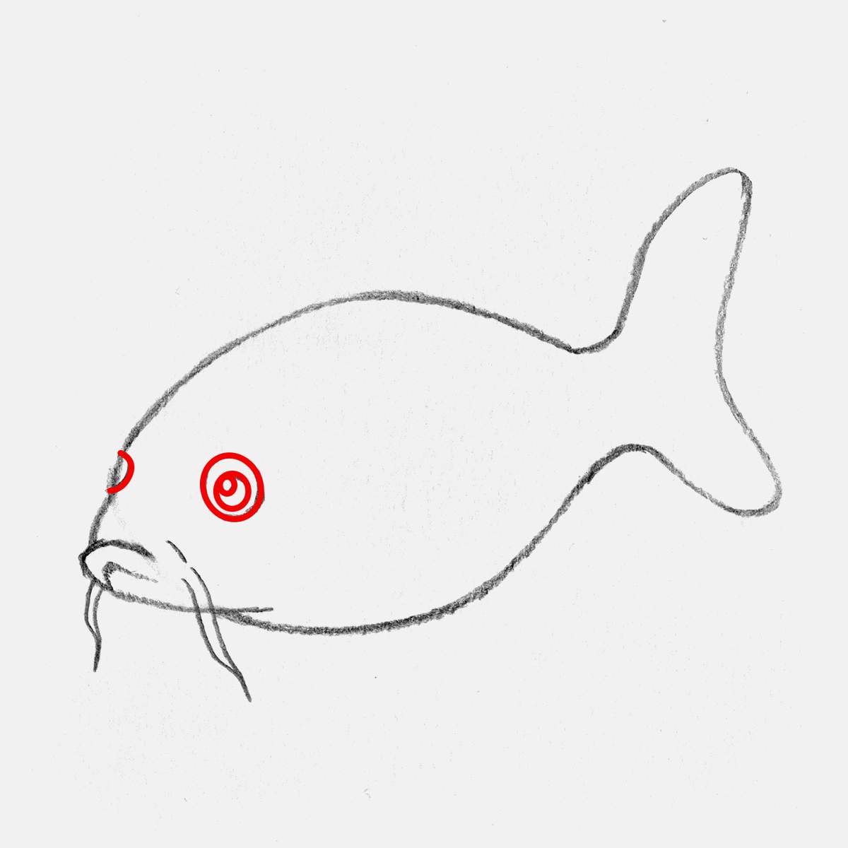 easy koi fish drawing tutorial step 6: add the koi fish's eye