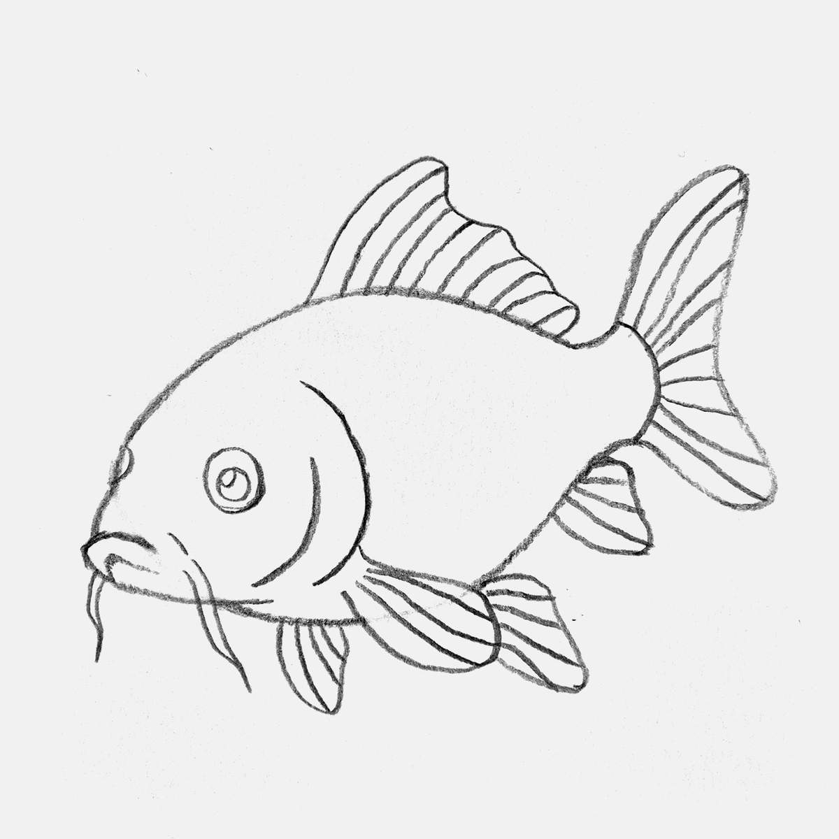 easy koi fish drawing tutorial step 10: add lines on all of the fins