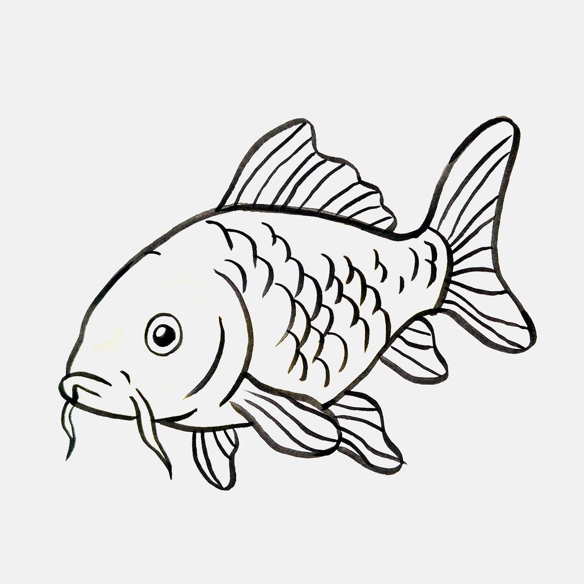 easy koi fish drawing tutorial step 12: outline your koi fish sketch with a black brush pen