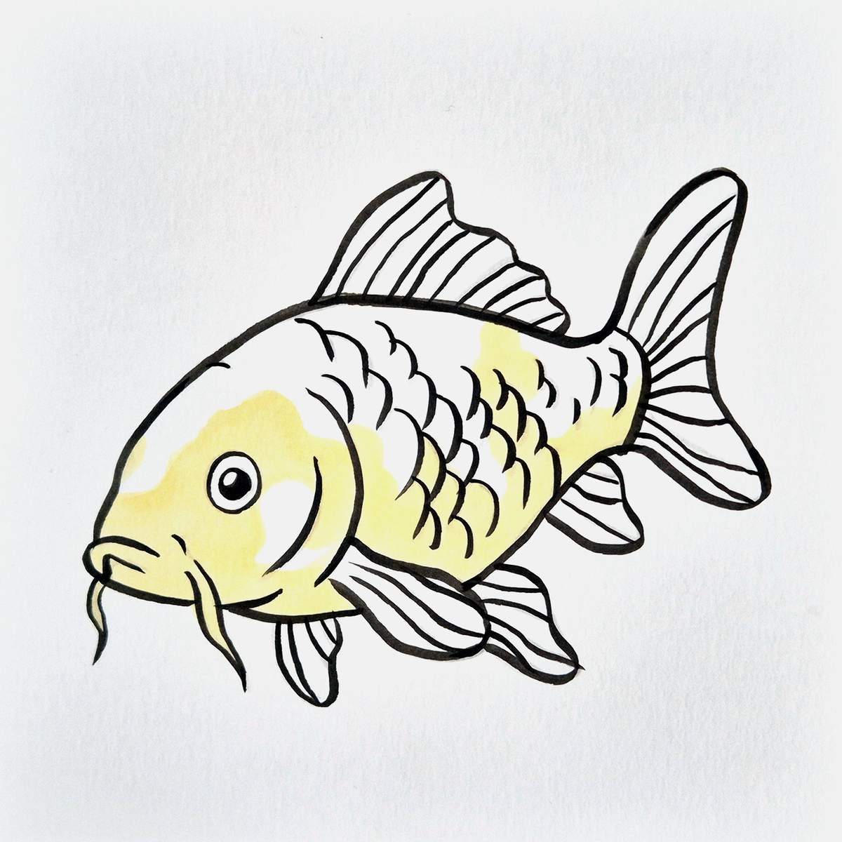 easy koi fish drawing tutorial step 13: color the lightest yellow parts of the koi fish with a pale yellow