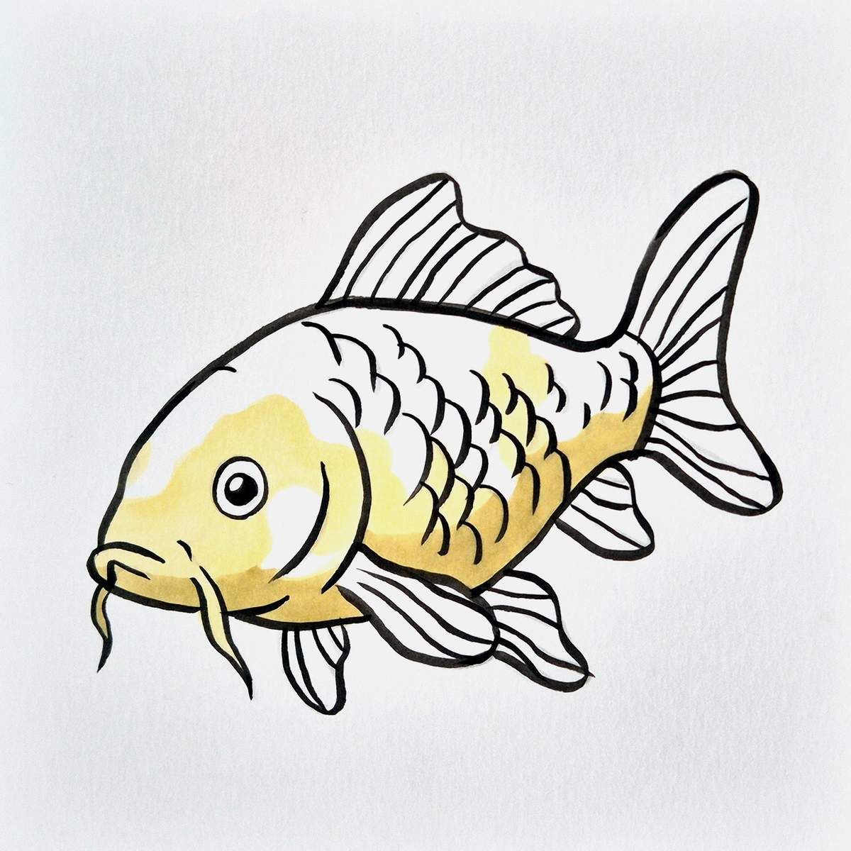 easy koi fish drawing tutorial step 14: use a muted yellow to add shading to the lightest parts