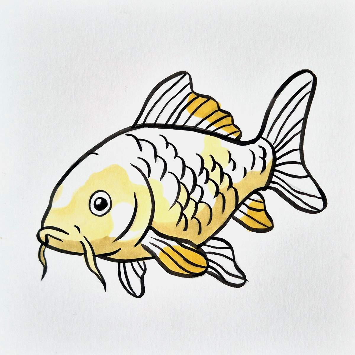 easy koi fish drawing tutorial step 15: use a mustard yellow to color the brighter yellow parts of the koi fish
