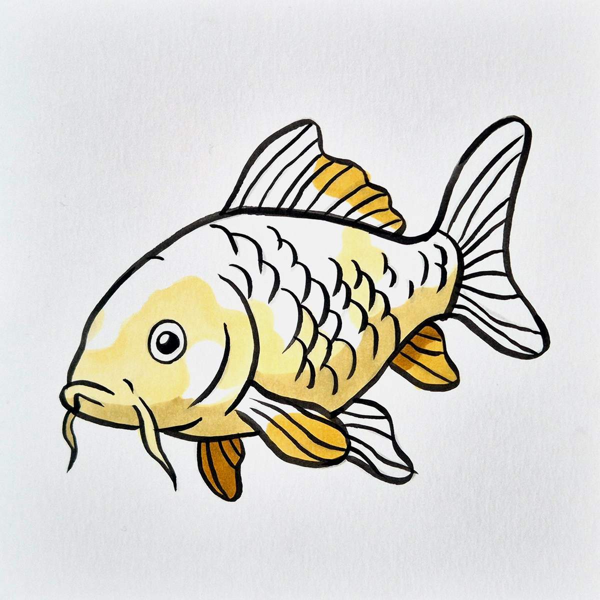 easy koi fish drawing tutorial step 16: use a dark brownish yellow to shade the mustard yellow parts