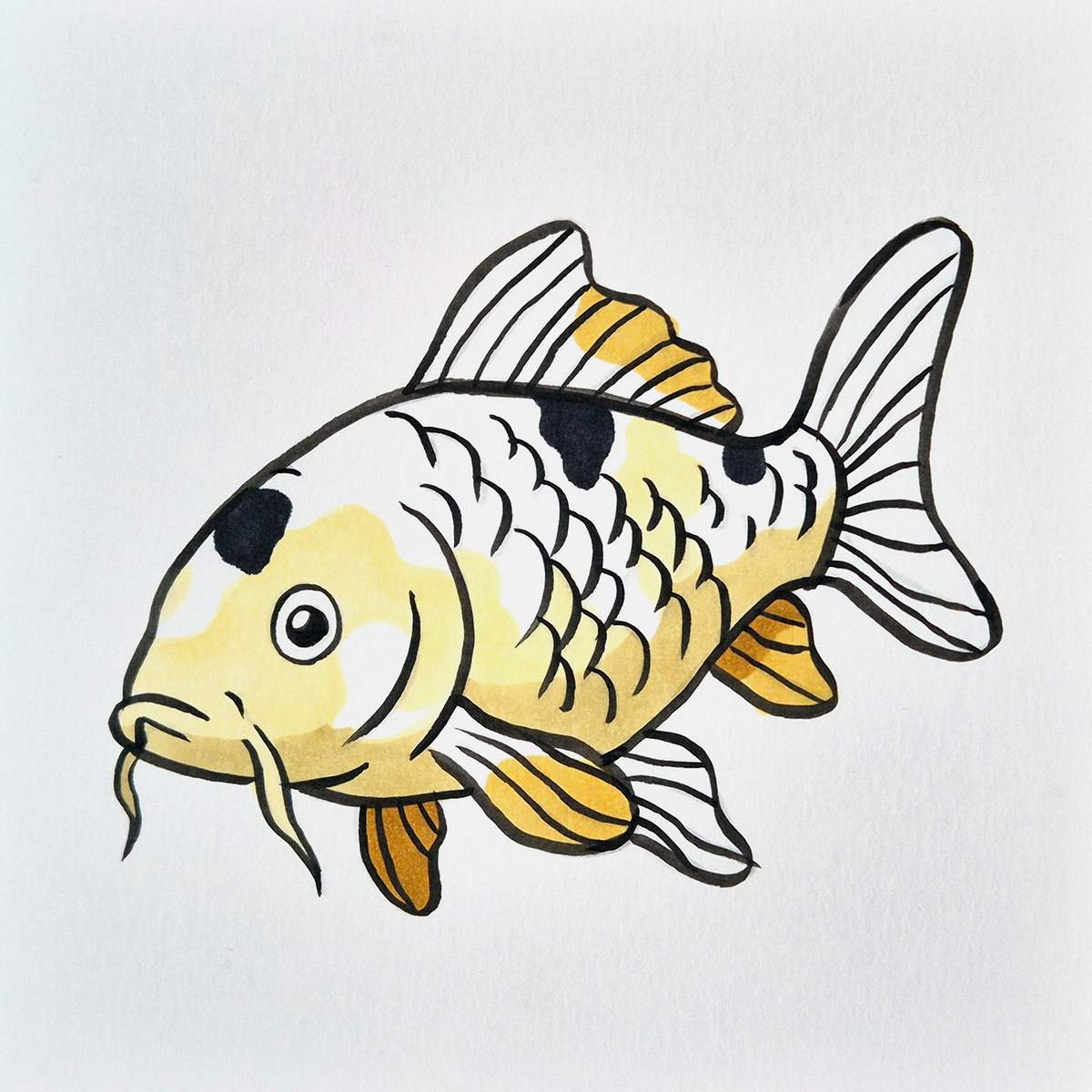 easy koi fish drawing tutorial step 17: use a dark grey to add three dark spots along the top edge of the koi fish