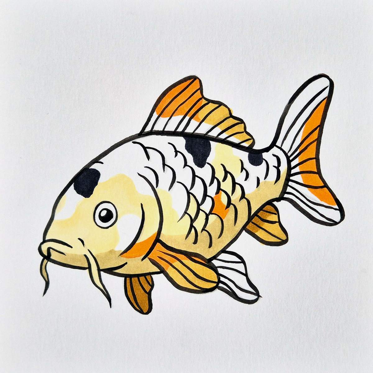 easy koi fish drawing tutorial step 18: use a light orange to color the light orange parts of the koi fish