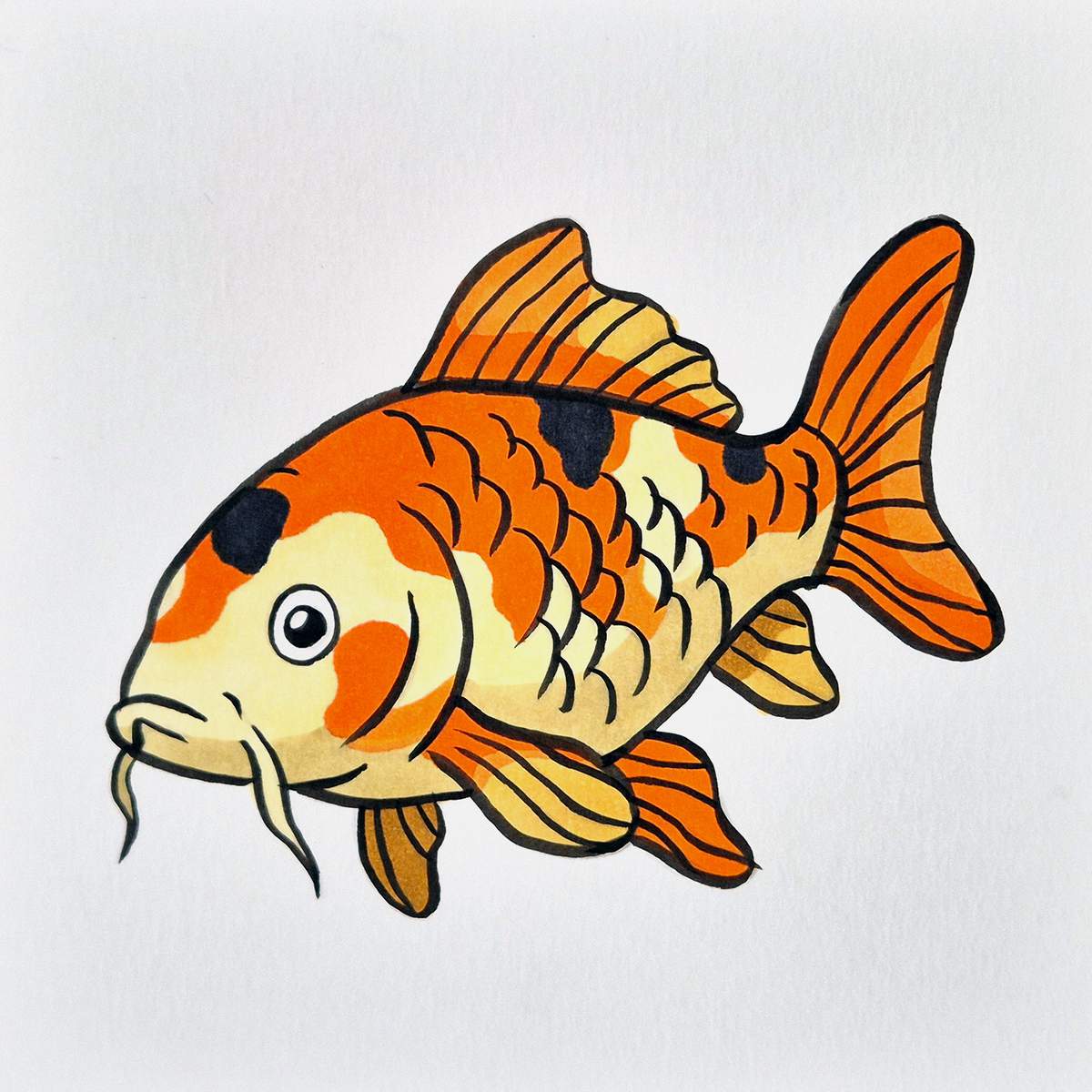 easy koi fish drawing tutorial step 19: use an orange marker to color the remainder of the koi fish