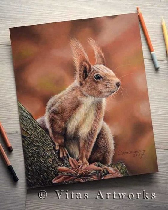 Realistic colored pencils drawing of a squirrel in a tree branch with a brown colored blurry background