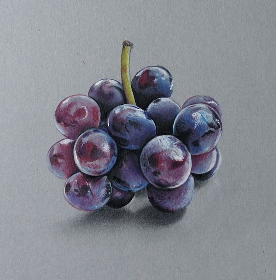 realistic colored pencil drawing of a bunch of red grapes on grey toned paper