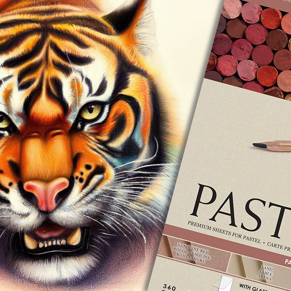 The Best Paper For Colored Pencil Art