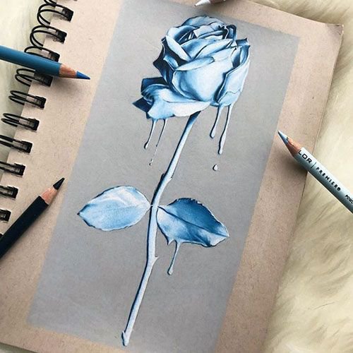 realistic colored pencil drawing of a rose fully dipped in white paint and still dripping