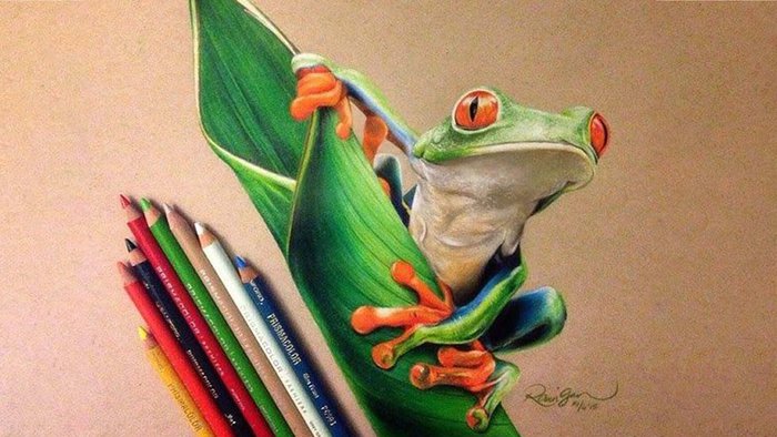 a drawing of a green and orange frog on a rolled up leaf